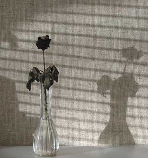 by any other name...